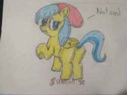 Size: 4160x3120 | Tagged: safe, artist:anonymous, barley barrel, pegasus, pony, rainbow roadtrip, butt, colored pencil drawing, dialogue, female, filly, looking at you, photo, plot, raised hoof, solo, talking to viewer, traditional art