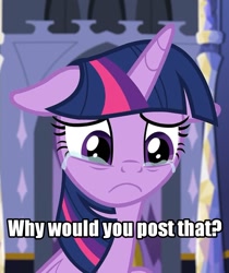 Size: 1090x1298 | Tagged: safe, edit, edited screencap, screencap, twilight sparkle, twilight sparkle (alicorn), alicorn, pony, the last problem, :c, cropped, crying, female, floppy ears, frown, image macro, inverted mouth, leak, looking down, mare, meme, sad, solo, text, text edit, this saddens, why would you post that