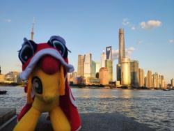 Size: 2048x1536 | Tagged: safe, oc, oc:狮狮, pony, china, irl, photo, plushie, shanghai