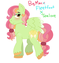 Size: 3401x3625 | Tagged: safe, artist:strawberry-spritz, oc, pegasus, pony, blushing, female, magical threesome spawn, parent:big macintosh, parent:fleetfoot, parent:tealove, simple background, solo, trans girl, transgender, transparent background