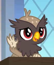 Size: 487x580 | Tagged: safe, screencap, griffon, the last problem, background griffon, chickub, claws, cropped, cute, garrick, male