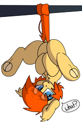 Size: 2453x3686 | Tagged: safe, artist:spoopygander, oc, oc only, oc:jellybean, bat pony, pony, bat pony oc, chest fluff, cute, dock, ear fluff, fangs, female, frog (hoof), hanging, hanging upside down, hidden wings, hoofbutt, jewelry, looking at you, mare, nose piercing, open mouth, piercing, prehensile tail, solo, spreading legs, text, underhoof, upside down