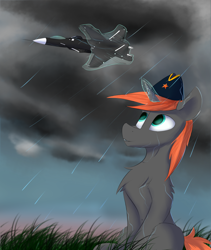 Size: 1960x2320 | Tagged: safe, artist:observerdoz, oc, pony, unicorn, berkut, grass, rain, su-47