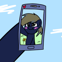 Size: 799x794 | Tagged: safe, artist:joel jacob, oc, oc only, oc:joel jacob, earth pony, pony, blushing, camera shot, flower, heart, male, phone screen, selfie, solo, sticker