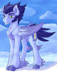 Size: 800x1020 | Tagged: safe, artist:thatonegib, soarin', pegasus, pony, cloud, colored feathertips, eyebrows, feathered hooves, folded wings, green eyes, looking at you, male, redesign, sideburns, signature, solo, stallion, unshorn fetlocks, wings