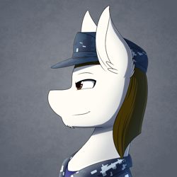 Size: 750x750 | Tagged: safe, artist:silverfox057, oc, oc:rough seas, earth pony, pony, camouflage, hat, solo