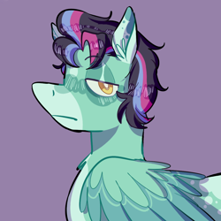 Size: 1000x1000 | Tagged: safe, artist:corporalvortex, oc, oc only, oc:sky vortex, pegasus, pony, bags under eyes, bust, coat markings, colored wings, ear fluff, icon, male, pegasus oc, serious, serious face, simple background, solo, stallion, wings