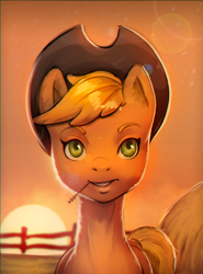 Size: 1000x1354 | Tagged: safe, artist:smomi, derpibooru import, applejack, earth pony, pony, solo, sunset