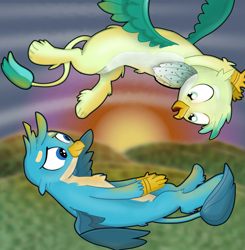 Size: 1959x2000 | Tagged: safe, artist:paracompact, gallus, sandbar, griffon, atg 2019, cute, flying, gallbar, gay, griffon sandbar, griffonized, lidded eyes, male, newbie artist training grounds, shipping, species swap, sunset