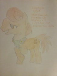 Size: 1944x2592 | Tagged: safe, artist:jaredking179, oc, oc only, oc:orange gem, earth pony, pony, male, necktie, stallion, traditional art