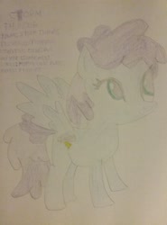 Size: 1921x2592 | Tagged: safe, artist:jaredking179, oc, oc only, oc:storm thunder, pegasus, pony, female, mare, traditional art