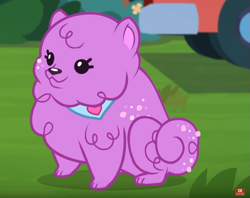 Size: 761x602 | Tagged: safe, screencap, princess thunder guts, dog, better together, equestria girls, lost and pound, lost and pound: spike, adoptable, adorable face, cropped, cuddly, cute, cuteness overload, daaaaaaaaaaaw, hnnng, hugs needed, puppy, sitting, weapons-grade cute