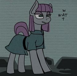 Size: 1750x1724 | Tagged: safe, artist:paskanaakka, derpibooru exclusive, maud pie, earth pony, pony, clothes, female, mare, solo, style emulation, wat