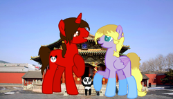 Size: 2456x1408 | Tagged: safe, artist:flora-flower1, oc, pony, china, irl, photo