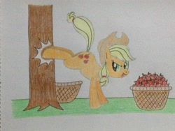 Size: 3264x2448 | Tagged: safe, artist:don2602, derpibooru import, applejack, earth pony, pony, :p, apple tree, applebucking, basket, bucking, female, looking back, solo, tongue out, traditional art, tree