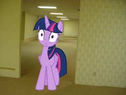 Size: 3072x2304 | Tagged: safe, twilight sparkle, twilight sparkle (alicorn), alicorn, pony, backrooms, irl, photo, ponies in real life, the backrooms