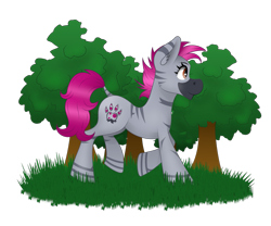 Size: 979x816 | Tagged: safe, artist:zeronitroman, oc, oc:zjin-wolfwalker, zebra, female, grass, quadrupedal, simple background, solo, transparent background, tree, walking