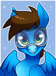 Size: 2461x3300 | Tagged: safe, artist:yukiin, oc, oc only, oc:blue scroll, pegasus, pony, bust, goggles, male, portrait