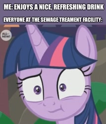 Size: 500x585 | Tagged: safe, edit, edited screencap, screencap, twilight sparkle, twilight sparkle (alicorn), alicorn, pony, the point of no return, :t, cropped, looking at you, meme, solo, unsettled tom