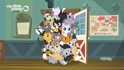 Size: 1259x708 | Tagged: safe, screencap, cat, pony, going to seed, all new, animal, derp cat, discovery family logo, goldie delicious' cats, map, siamese cat, text, too many cats, tuxedo cat