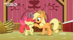 Size: 1675x940 | Tagged: safe, derpibooru import, screencap, apple bloom, applejack, earth pony, pony, going to seed, apple sisters, boop, bucket, cute, daaaaaaaaaaaw, duo, female, filly, foal, hoof on chest, mare, nose wrinkle, siblings, sisters