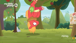 Size: 1259x708 | Tagged: safe, screencap, big macintosh, earth pony, pony, going to seed, all new, apple tree, bags under eyes, cutie mark, discovery family logo, freckles, hanging, hanging upside down, male, map, predicament, solo, stallion, sweet apple acres, text, trap (device), trapped, tree, unshorn fetlocks