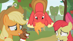 Size: 1259x708 | Tagged: safe, derpibooru import, screencap, apple bloom, applejack, big macintosh, winona, dog, earth pony, pony, going to seed, all new, apple tree, discovery family logo, hanging, hanging upside down, laughing, lip bite, sweet apple acres, text, trap (device), trapped, tree