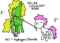 Size: 2024x1440 | Tagged: safe, artist:mannitenerisunt, pony, chemistry, chemistry joke, chlorine, covalent bond (chemistry), electron, hydrogen, hydrogen chloride, ponified, ponified meme