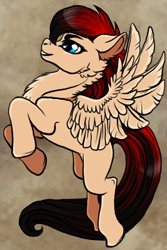 Size: 400x600 | Tagged: safe, artist:sketchpunk, oc, oc only, oc:alex bash, pegasus, pony, pegasus oc, simple background, solo