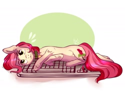 Size: 2101x1529 | Tagged: safe, artist:purry_much, roseluck, earth pony, pony, behaving like a cat, collar, cute, cuteluck, ear fluff, female, fluffy, keyboard, leg fluff, lying, mare, pet tag, pony pet, rosepet