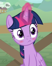 Size: 822x1029 | Tagged: safe, screencap, twilight sparkle, twilight sparkle (alicorn), alicorn, pony, the point of no return, blushing, blushlight sparkle, cropped, cute, embarrassed, female, frown, glowing horn, mare, sitting, twiabetes, wide eyes