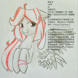 Size: 2000x2000 | Tagged: safe, artist:龙宠, oc, oc only, oc:mascara, pegasus, pony, chinese, double wings, introduction, mobile task force, multiple wings, scp foundation, solo, text, wings