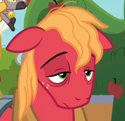 Size: 596x577 | Tagged: safe, screencap, big macintosh, earth pony, pony, going to seed, cropped, horse face, male, solo, solo focus, stallion, tired