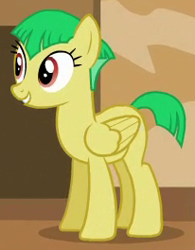 Size: 206x264 | Tagged: safe, screencap, wintergreen, pegasus, pony, viva las pegasus, background pony, cropped, female, las pegasus resident, mare, solo