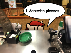 Size: 4032x3024 | Tagged: safe, artist:alexskleinewelt, oc, oc:alex bash, food, real life background, sandwich, stick pony, subway