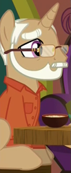 Size: 269x654 | Tagged: safe, screencap, pony, unicorn, spice up your life, art ginsburg, background pony, balding, beard, bowl, clothes, cropped, culinary art (character), facial hair, glasses, male, moustache, shirt, solo, stallion