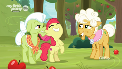 Size: 1920x1080 | Tagged: safe, screencap, apple bloom, goldie delicious, granny smith, earth pony, pony, going to seed, adorabloom, apple, apple tree, cute, excited, female, filly, foal, food, hoofy-kicks, mare, rearing, smiling, sweet apple acres, tree, trio
