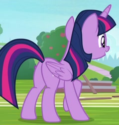 Size: 827x865 | Tagged: safe, screencap, twilight sparkle, twilight sparkle (alicorn), alicorn, pony, 2 4 6 greaaat, butt, cropped, female, plot, solo