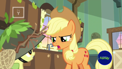 Size: 1600x900 | Tagged: safe, derpibooru import, screencap, apple bloom, applejack, earth pony, pony, going to seed, apple sisters, discovery family logo, door, duo, female, filly, foal, helmet, indoors, kitchen, leaves, mare, net, sink, stern, sticks, tv rating, tv-y, window