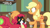 Size: 1600x900 | Tagged: safe, derpibooru import, screencap, applejack, big macintosh, cat, earth pony, pony, going to seed, dexterous hooves, discovery family logo, female, goldie delicious' cats, hoof hold, male, mare, messy mane, scroll, stallion, tuxedo cat