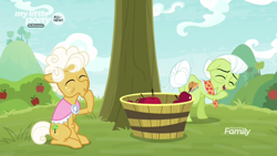 Size: 1600x900 | Tagged: safe, screencap, goldie delicious, granny smith, earth pony, pony, going to seed, apple, apple tree, bucket, duo, female, food, laughing, mare, tail bun, tree