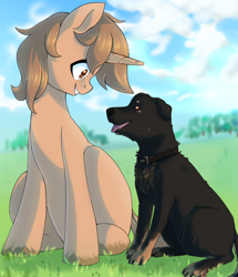 Size: 2348x2724 | Tagged: safe, artist:tigra0118, oc, oc:foxhound, dog, pony, unicorn, art, looking at each other, male, pet, ych result