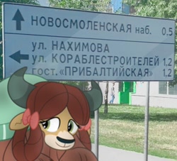 Size: 750x680 | Tagged: safe, artist:dashiesparkle, artist:rainbow eevee, yona, bust, cute, cyrillic, icon, irl, monkey swings, photo, portrait, russia, russian, sankt petersburg, sign, solo, traffic signal, wat, yonadorable