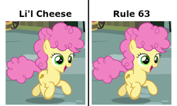 Size: 666x400 | Tagged: safe, edit, edited screencap, screencap, li'l cheese, li'l cheese (rule 63), earth pony, pony, the last problem, caption, colt, cropped, female, filly, image macro, male, meme, rule 63, text