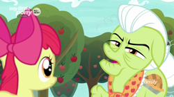 Size: 1600x898 | Tagged: safe, screencap, apple bloom, granny smith, going to seed, apple, apple tree, discovery family logo, food, sneer, tree