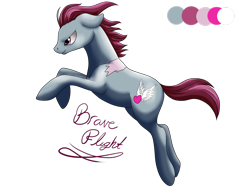 Size: 2828x2121 | Tagged: safe, artist:dreamyartcosplay, oc, oc only, oc:brave flight, earth pony, pony, earth pony oc, male, rearing, reference sheet, scar, simple background, solo, stallion, text, transparent background