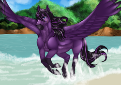 Size: 4299x3035 | Tagged: safe, artist:theecchiqueen, oc, oc only, oc:hunter, pegasus, pony, chest fluff, commission, digital art, ear fluff, eye scar, hoers, male, running, scar, signature, solo, spread wings, stallion, water, wing fluff, wings