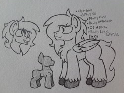 Size: 2576x1932 | Tagged: safe, artist:drheartdoodles, oc, oc only, oc:dr.heart, pegasus, pony, background pony, chest fluff, clydesdale, reference, reference sheet, size difference, smiling, solo, traditional art