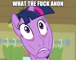 Size: 632x500 | Tagged: safe, edit, edited screencap, screencap, twilight sparkle, twilight sparkle (alicorn), alicorn, pony, the point of no return, cursed image, disgusted, exploitable meme, faic, female, meme, memegenerator, solo, wat, wtf