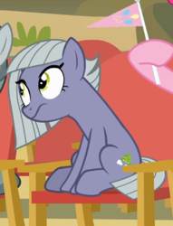 Size: 454x595 | Tagged: safe, screencap, limestone pie, earth pony, pony, rock solid friendship, chair, cropped, female, flag, mare, sitting, solo, wavy mouth